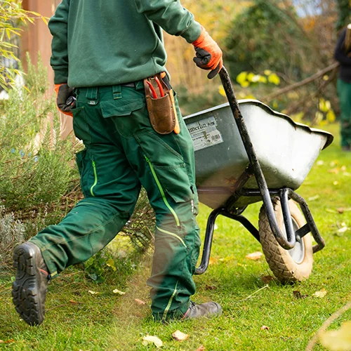 Teljes kertkarbantartás csomagban