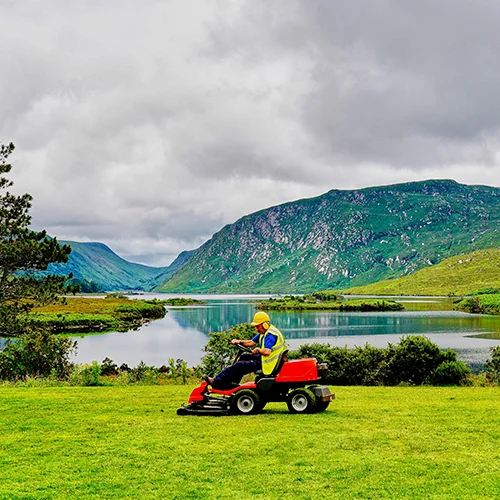 Fűnyírás és gyepápolás