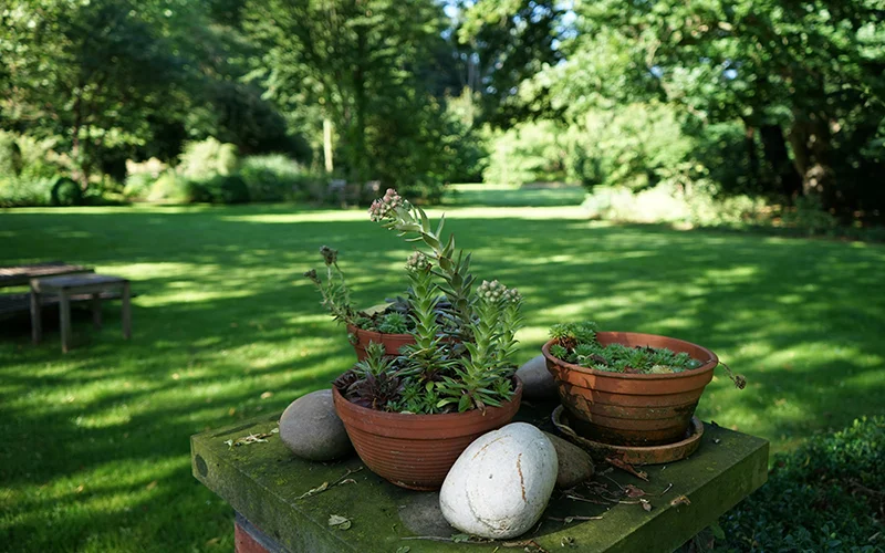 Szép kert, kiszámítható költséggel